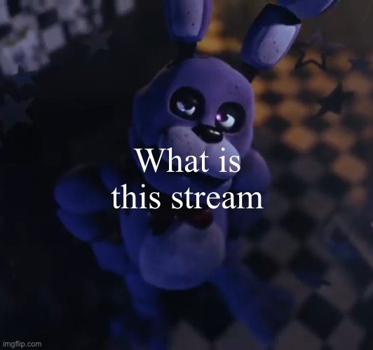 goofster | What is this stream | image tagged in goofster | made w/ Imgflip meme maker