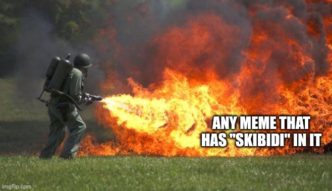 flamethrower | ANY MEME THAT HAS "SKIBIDI" IN IT | image tagged in flamethrower | made w/ Imgflip meme maker