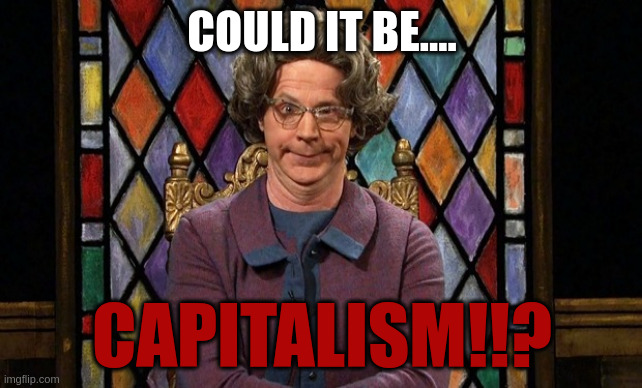 dana carvey church lady | COULD IT BE.... CAPITALISM!!? | image tagged in dana carvey church lady | made w/ Imgflip meme maker