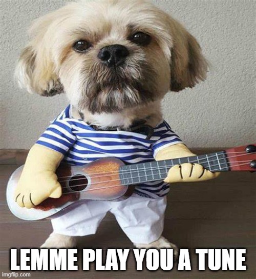 Guitar Dog | LEMME PLAY YOU A TUNE | image tagged in dogs | made w/ Imgflip meme maker