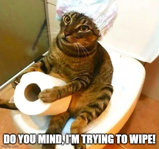 Potty Kitty | DO YOU MIND, I'M TRYING TO WIPE! | image tagged in cats | made w/ Imgflip meme maker