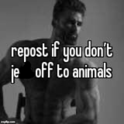 Repost if you don't | image tagged in repost if you don't | made w/ Imgflip meme maker