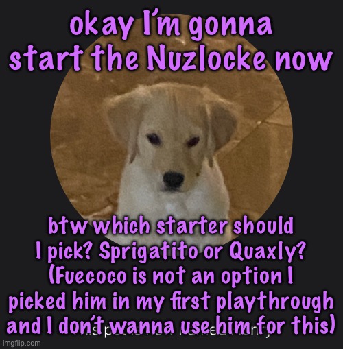 I’m sure sprigatito triggers ptsd for some of you (wheatley) | okay I’m gonna start the Nuzlocke now; btw which starter should I pick? Sprigatito or Quaxly? (Fuecoco is not an option I picked him in my first playthrough and I don’t wanna use him for this) | image tagged in say hi to henry,cinnabox announcement | made w/ Imgflip meme maker