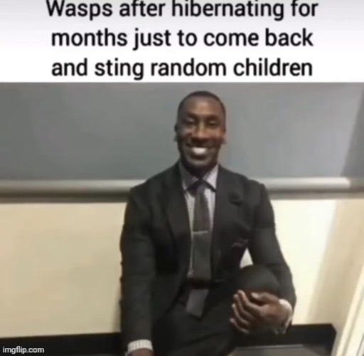 Wasps | image tagged in wasps,wasp,reposts,repost,memes,sting | made w/ Imgflip meme maker