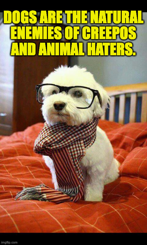 Intelligent Dog Meme | DOGS ARE THE NATURAL
ENEMIES OF CREEPOS
AND ANIMAL HATERS. | image tagged in memes,intelligent dog | made w/ Imgflip meme maker