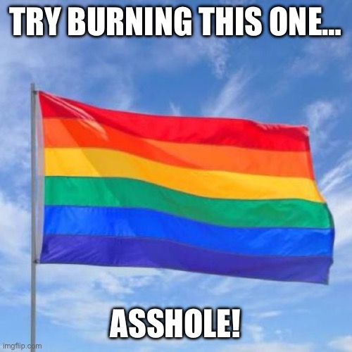 We get upset when ANY flag shall be disrespected; it’s important to respect the enemy flag just as how veterans were taught to r | TRY BURNING THIS ONE…; ASSHOLE! | image tagged in gay pride flag | made w/ Imgflip meme maker