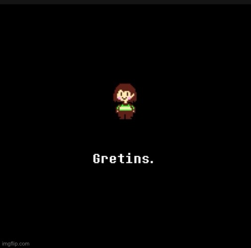 WHAT DID I JUST MAKE ? | image tagged in chara,gretins,wth,help,undertale,what did i just make | made w/ Imgflip meme maker