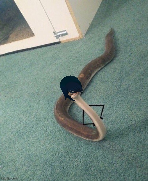 Snake | image tagged in snake | made w/ Imgflip meme maker