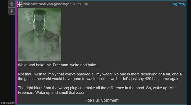 Wake And Bake Mr. Freeman | image tagged in wake and bake mr freeman | made w/ Imgflip meme maker