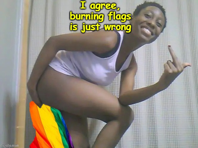 I agree, burning flags is just wrong | made w/ Imgflip meme maker