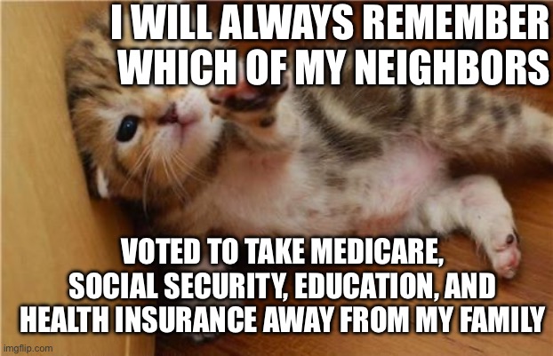 Trump supporters will never be forgiven | I WILL ALWAYS REMEMBER WHICH OF MY NEIGHBORS; VOTED TO TAKE MEDICARE, SOCIAL SECURITY, EDUCATION, AND HEALTH INSURANCE AWAY FROM MY FAMILY | image tagged in help me kitten | made w/ Imgflip meme maker