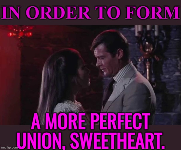 In Order To Form A More Perfect Union, Sweetheart. | IN ORDER TO FORM; A MORE PERFECT
UNION, SWEETHEART. | image tagged in live and let die,movie quotes,famous quotes,inspirational quote,quotes,james bond | made w/ Imgflip meme maker