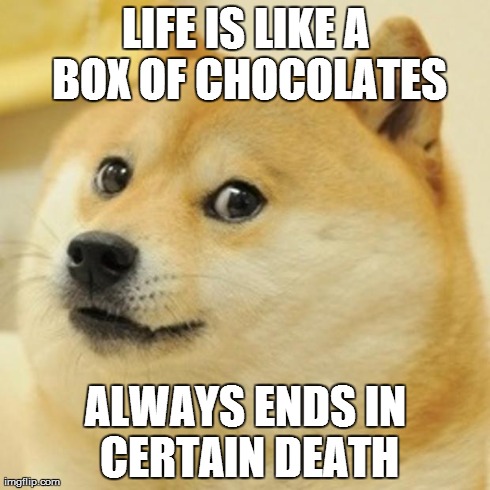 Doge Meme | LIFE IS LIKE A BOX OF CHOCOLATES ALWAYS ENDS IN CERTAIN DEATH | image tagged in memes,doge | made w/ Imgflip meme maker