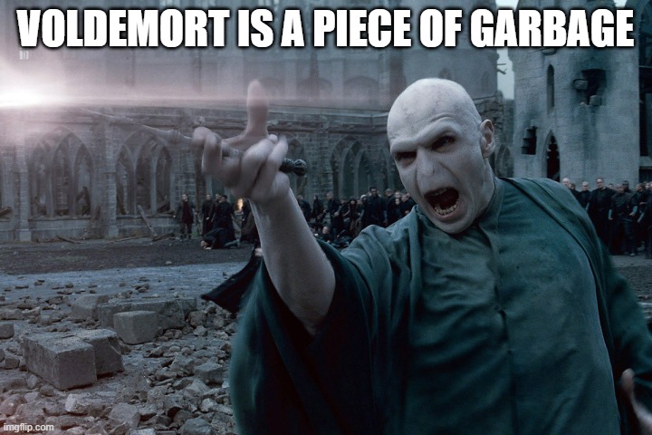 Avada Kedavra | VOLDEMORT IS A PIECE OF GARBAGE | image tagged in avada kedavra | made w/ Imgflip meme maker