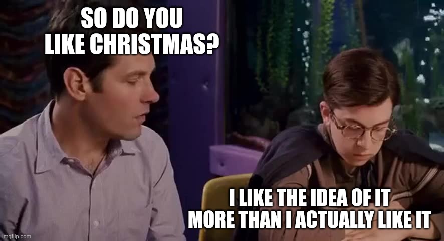 SO DO YOU LIKE CHRISTMAS? I LIKE THE IDEA OF IT MORE THAN I ACTUALLY LIKE IT | image tagged in christmas,paul rudd | made w/ Imgflip meme maker