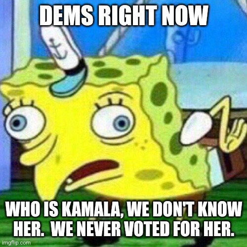 triggerpaul | DEMS RIGHT NOW WHO IS KAMALA, WE DON'T KNOW HER.  WE NEVER VOTED FOR HER. | image tagged in triggerpaul | made w/ Imgflip meme maker