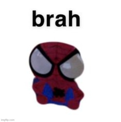 spiderman plush brah | image tagged in spiderman plush brah | made w/ Imgflip meme maker