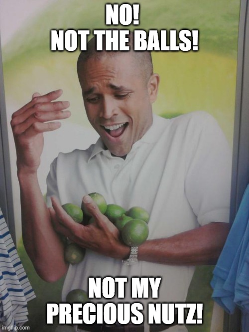 Not My Nutz! | NO! 
NOT THE BALLS! NOT MY PRECIOUS NUTZ! | image tagged in memes,why can't i hold all these limes | made w/ Imgflip meme maker