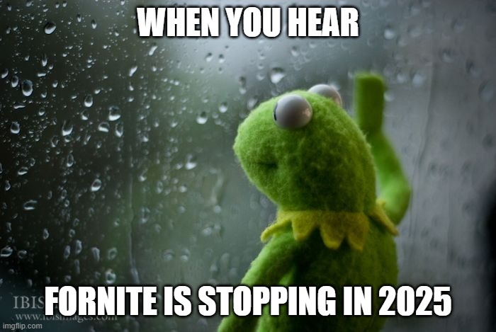 kermit window | WHEN YOU HEAR; FORNITE IS STOPPING IN 2025 | image tagged in kermit window | made w/ Imgflip meme maker