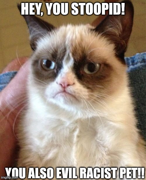 I hate you -Grumpy Cat | HEY, YOU STOOPID! YOU ALSO EVIL RACIST PET!! | image tagged in memes,grumpy cat | made w/ Imgflip meme maker