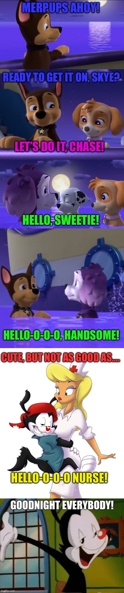 Paw Patrol vs the Animaniacs | MERPUPS AHOY! READY TO GET IT ON, SKYE? LET’S DO IT, CHASE! HELLO, SWEETIE! HELLO-O-O-O, HANDSOME! CUTE, BUT NOT AS GOOD AS…. HELLO-O-O-O NURSE! | image tagged in animaniacs,paw patrol,nickelodeon,the little mermaid,innuendo,funny dogs | made w/ Imgflip meme maker