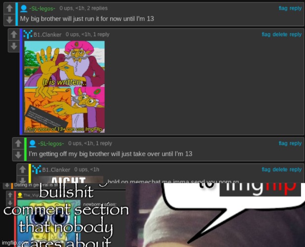 image tagged in completely bullshit comment section that nobody cares about | made w/ Imgflip meme maker