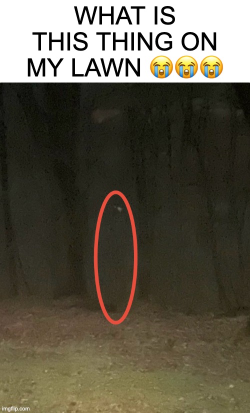 real live slenderman footage nahhh | WHAT IS THIS THING ON MY LAWN 😭😭😭 | image tagged in scary,memes,funny,slenderman,scary things,creepy | made w/ Imgflip meme maker