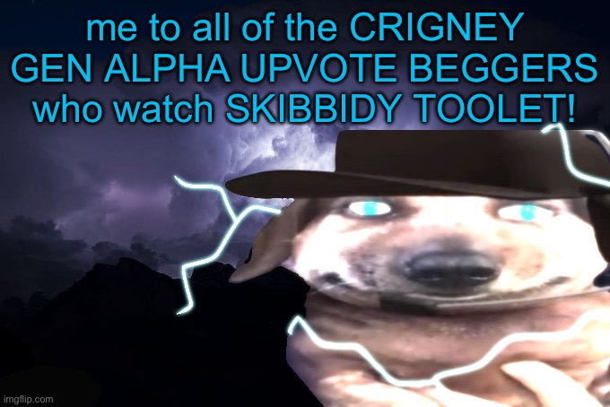 lowtierchucklenuts | me to all of the CRIGNEY GEN ALPHA UPVOTE BEGGERS who watch SKIBBIDY TOOLET! | image tagged in lowtierchucklenuts | made w/ Imgflip meme maker