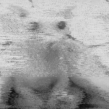 bingus | image tagged in gifs | made w/ Imgflip video-to-gif maker