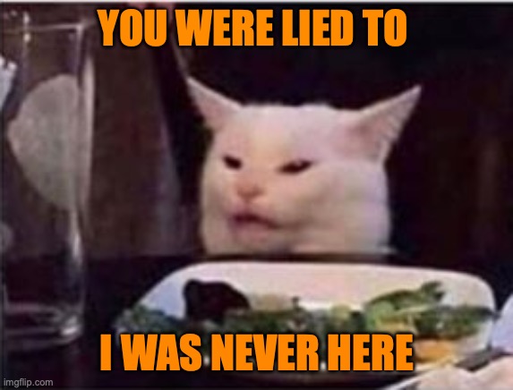 Spy Cat | YOU WERE LIED TO; I WAS NEVER HERE | image tagged in white dinner table cat | made w/ Imgflip meme maker