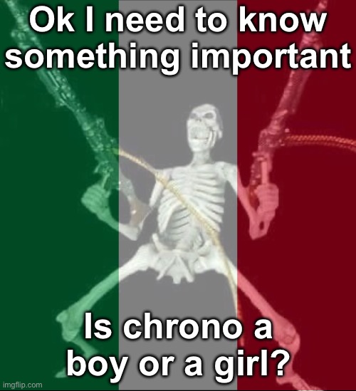 Somebody explain | Ok I need to know something important; Is chrono a boy or a girl? | image tagged in msmg,chrono | made w/ Imgflip meme maker