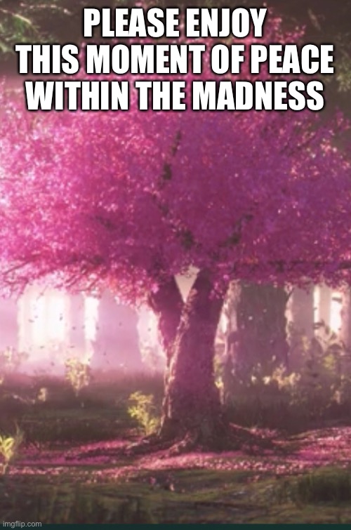 Ur welcome | PLEASE ENJOY THIS MOMENT OF PEACE WITHIN THE MADNESS | image tagged in finally inner peace,barney will eat all of your delectable biscuits | made w/ Imgflip meme maker