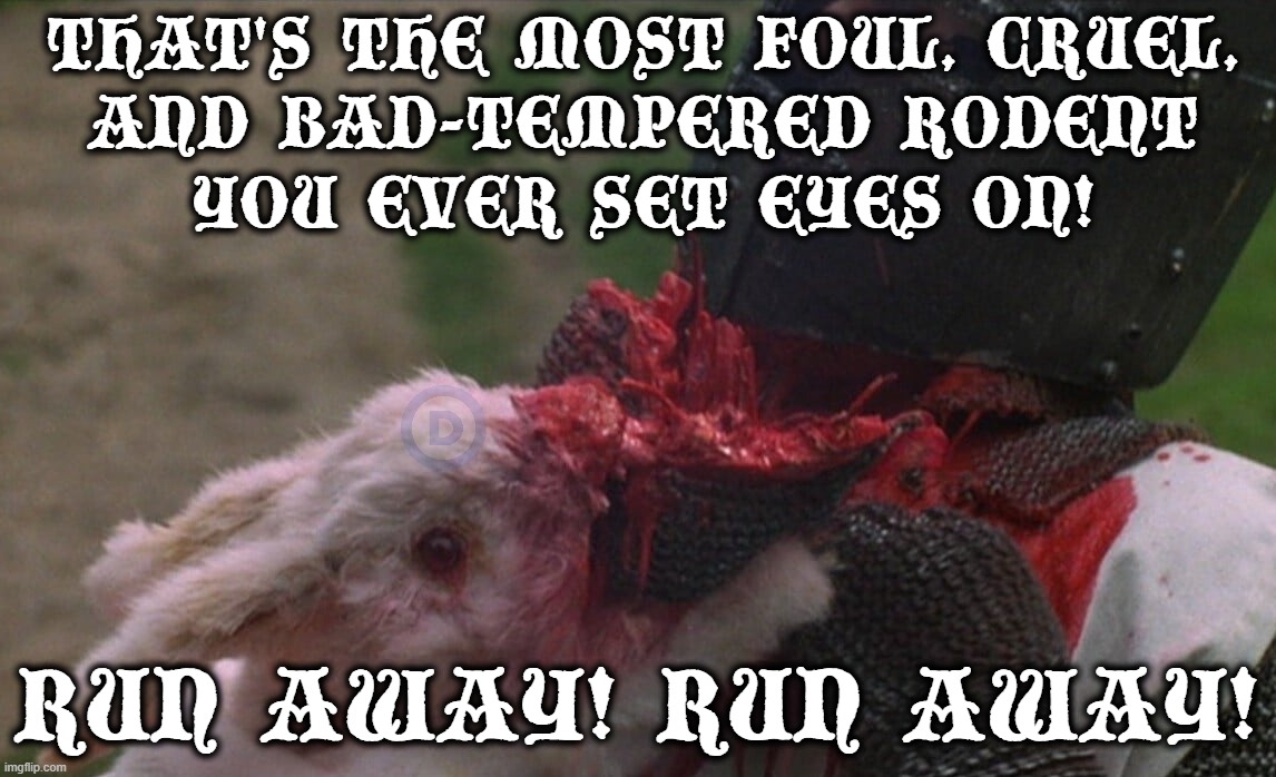 BEWARE BAD-TEMPERED RODENTS | THAT'S THE MOST FOUL, CRUEL,
AND BAD-TEMPERED RODENT
YOU EVER SET EYES ON! RUN AWAY! RUN AWAY! | image tagged in monty python and the holy grail,rabbit,killer,rodent,run away,bloodlust | made w/ Imgflip meme maker