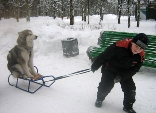 Dog walking the child Blank Meme Template