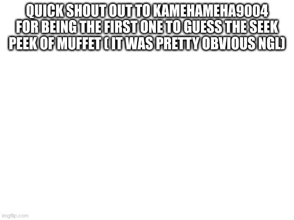 QUICK SHOUT OUT TO KAMEHAMEHA9004 FOR BEING THE FIRST ONE TO GUESS THE SEEK PEEK OF MUFFET ( IT WAS PRETTY OBVIOUS NGL) | image tagged in shout out | made w/ Imgflip meme maker