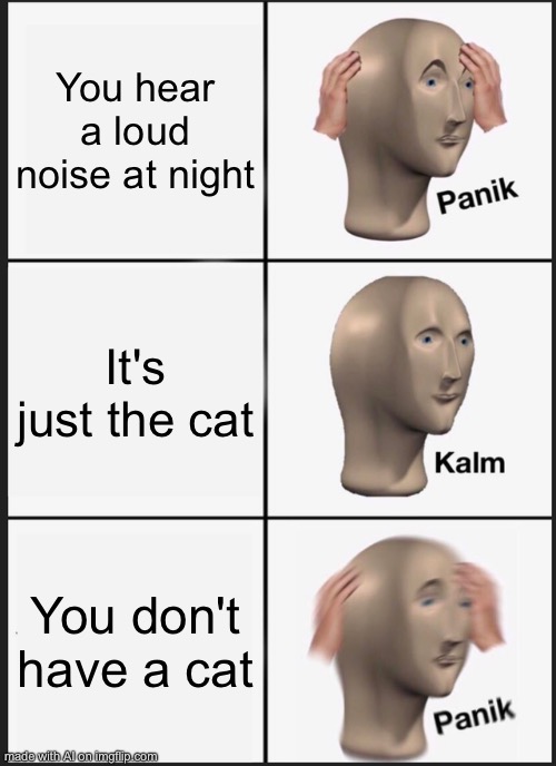 Panik Kalm Panik | You hear a loud noise at night; It's just the cat; You don't have a cat | image tagged in memes,panik kalm panik | made w/ Imgflip meme maker