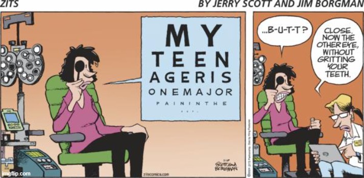 Zits | image tagged in comics | made w/ Imgflip meme maker