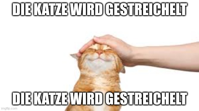 DIE KATZE WIRD GESTREICHELT; DIE KATZE WIRD GESTREICHELT | made w/ Imgflip meme maker