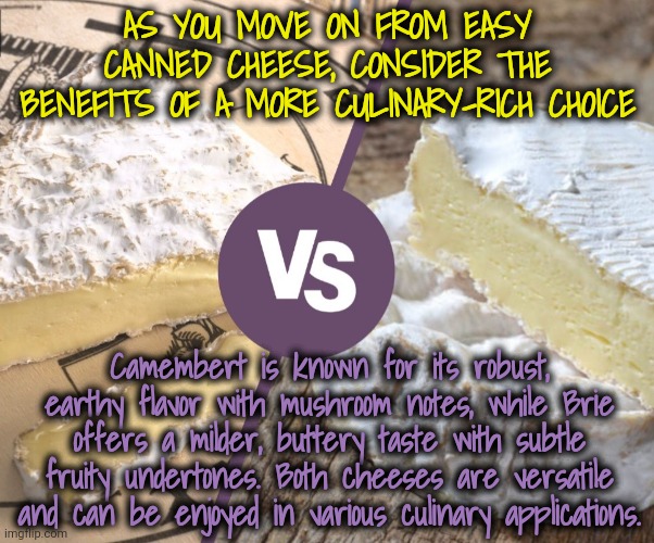 AS YOU MOVE ON FROM EASY CANNED CHEESE, CONSIDER THE BENEFITS OF A MORE CULINARY-RICH CHOICE Camembert is known for its robust, earthy flavo | made w/ Imgflip meme maker