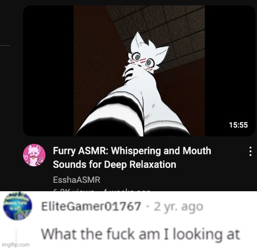 what the fuck am i looking at | made w/ Imgflip meme maker