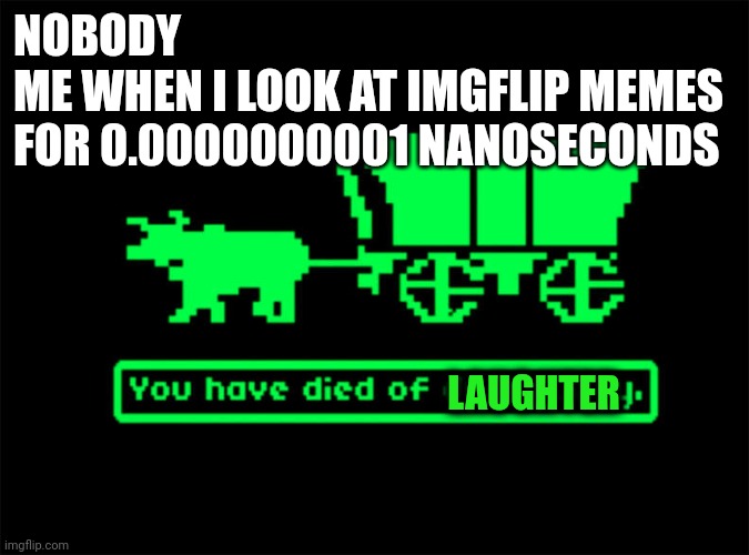 you have died of dysentery | NOBODY
ME WHEN I LOOK AT IMGFLIP MEMES FOR 0.0000000001 NANOSECONDS; LAUGHTER | image tagged in you have died of dysentery | made w/ Imgflip meme maker