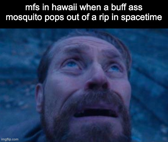 ultra wormhole lore | mfs in hawaii when a buff ass mosquito pops out of a rip in spacetime | image tagged in willem dafoe looking up | made w/ Imgflip meme maker