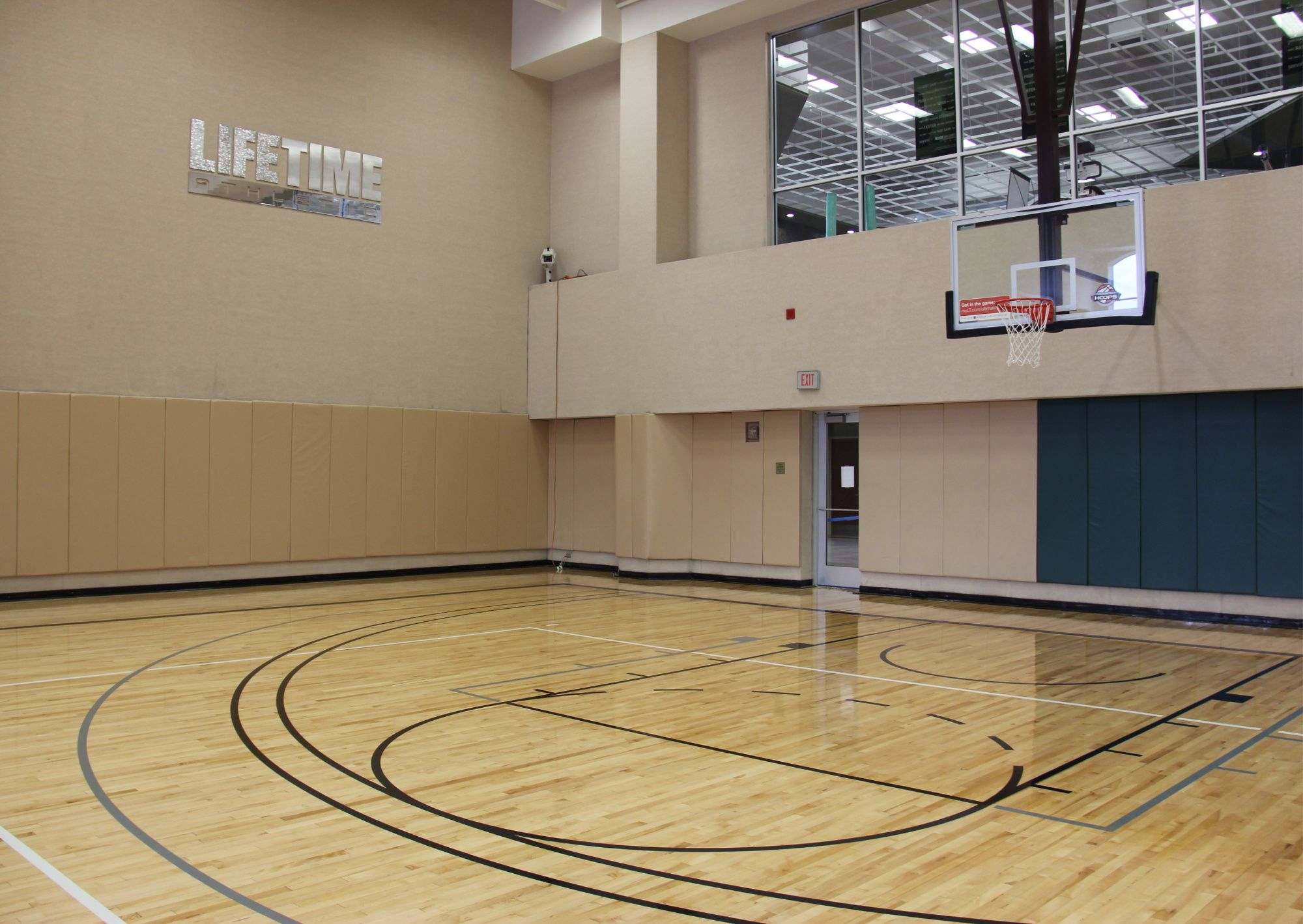 Chill guy basketball court Blank Meme Template