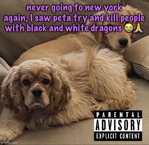 Gnocchi and Henry’s first studio album | never going to new york again, I saw peta try and kill people with black and white dragons 😭🙏 | image tagged in gnocchi and henry s first studio album,cinnabox announcement | made w/ Imgflip meme maker