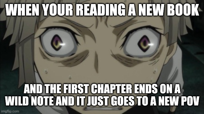 This Shit is CRAZY chat- | WHEN YOUR READING A NEW BOOK; AND THE FIRST CHAPTER ENDS ON A WILD NOTE AND IT JUST GOES TO A NEW POV | made w/ Imgflip meme maker