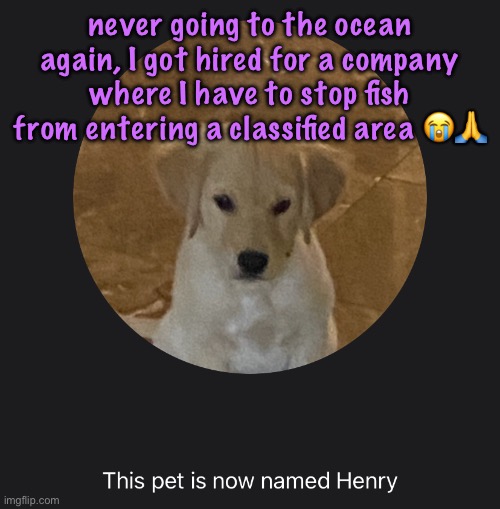 fuck it I’m branching into different games too, this is a super obscure indie game | never going to the ocean again, I got hired for a company where I have to stop fish from entering a classified area 😭🙏 | image tagged in say hi to henry | made w/ Imgflip meme maker