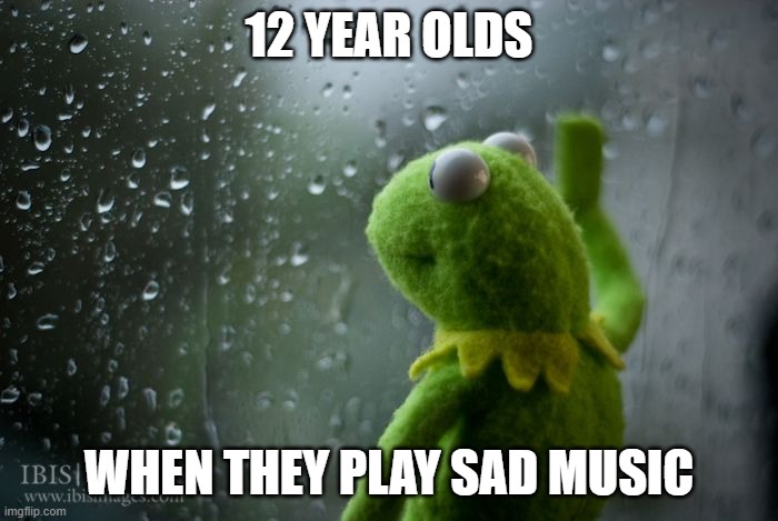 they become it | 12 YEAR OLDS; WHEN THEY PLAY SAD MUSIC | image tagged in kermit window | made w/ Imgflip meme maker