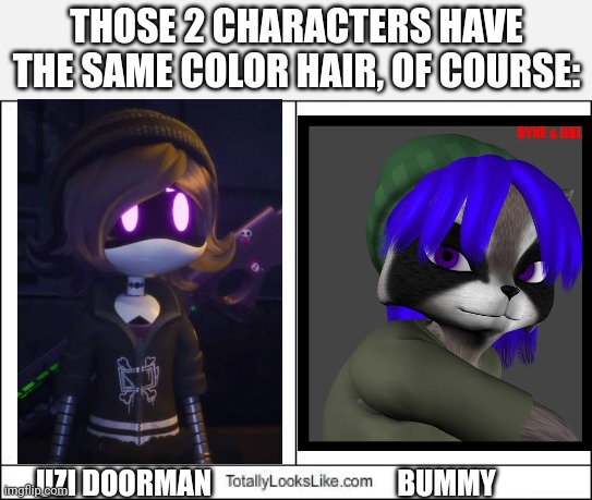 (Requested by GLM Entertainment 2002) | THOSE 2 CHARACTERS HAVE THE SAME COLOR HAIR, OF COURSE:; UZI DOORMAN; BUMMY | image tagged in totally looks like,meme,murder drones,looks like,ryne and dal,hair color | made w/ Imgflip meme maker