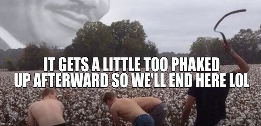 white slavery and blacks own slaves now | image tagged in memes | made w/ Imgflip meme maker