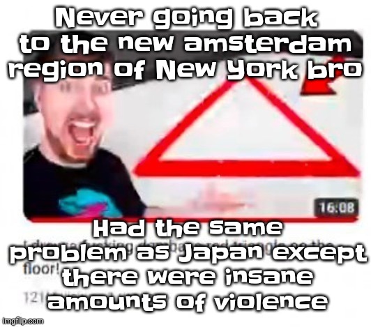 Mr beast triangular | Never going back to the new amsterdam region of New York bro; Had the same problem as Japan except there were insane amounts of violence | image tagged in mr beast triangular | made w/ Imgflip meme maker